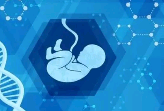 广州知名代孕试管中心 广州女职工产假工资发放标准 ‘b超单囊胚看男女’