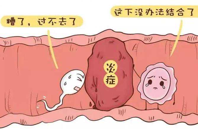 广州正规私立供卵医院 怎么预防广州供卵机构的套路? ‘32周双顶径看男女’