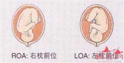 广州试管婴儿代孕服务_广州代孕试管哪个好_广州幸孕星国际医疗：163134507211