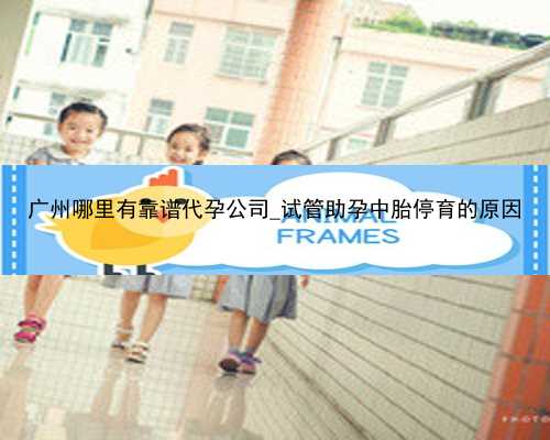 广州哪里有靠谱代孕公司_试管助孕中胎停育的原因