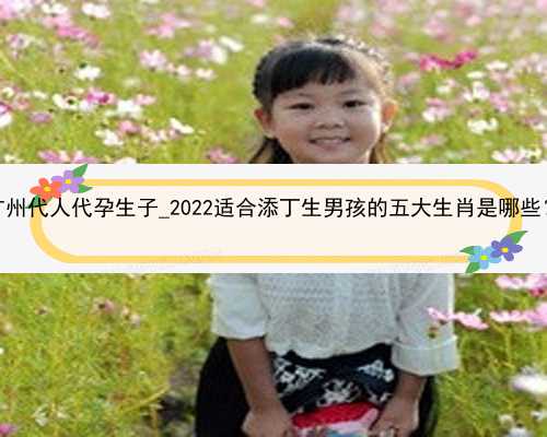 广州代人代孕生子_2022适合添丁生男孩的五大生肖是哪些？