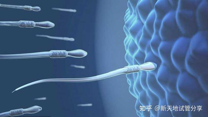 广州助孕中心：二代试管婴儿对精子的要求高吗？